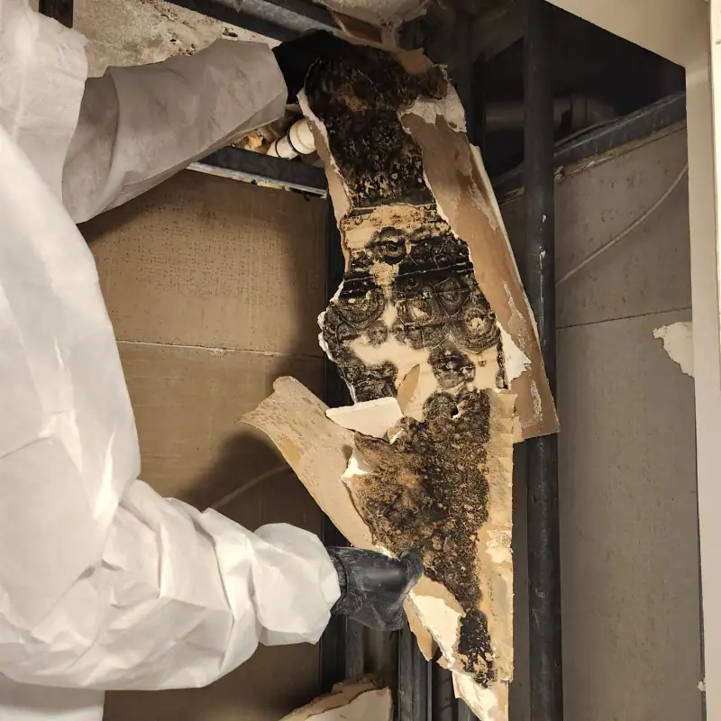 24/7 Service Pros technicians working on water damage restoration in Aventura, FL