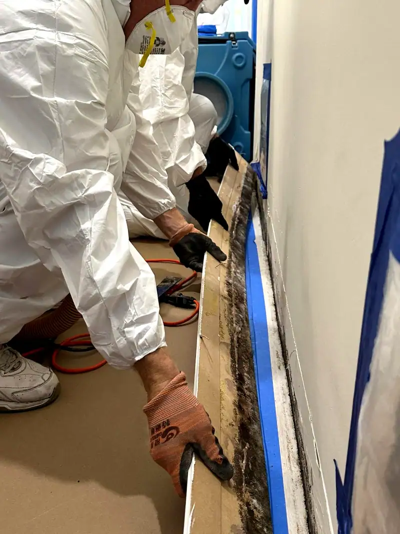 24/7 Service Pros technicians working on water damage restoration in Coral Springs, FL