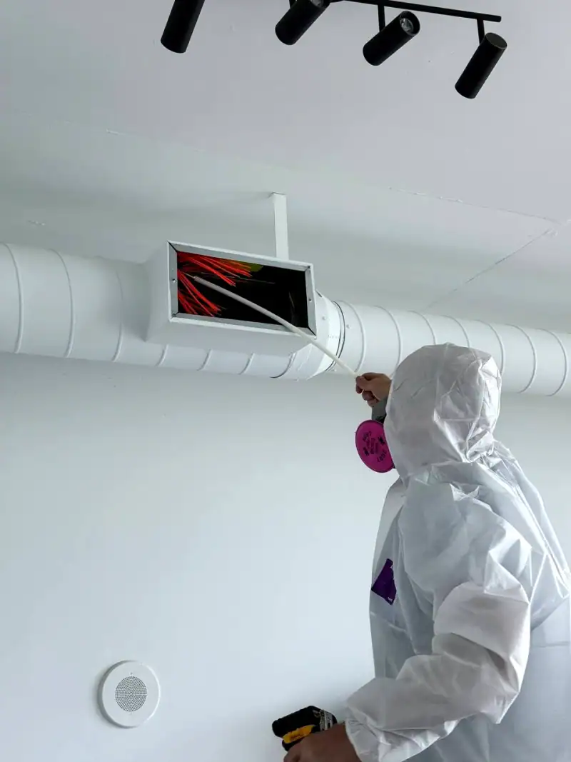 24/7 Service Pros water damage inspection and restoration in Hollywood, FL